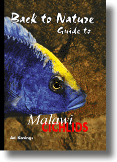 Back-to-Nature / Malawi cichlids